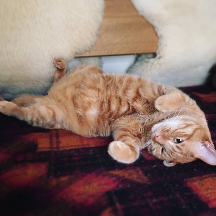 7e572061 de55 4902 9740 a8222b3f7c7d 1611924059552