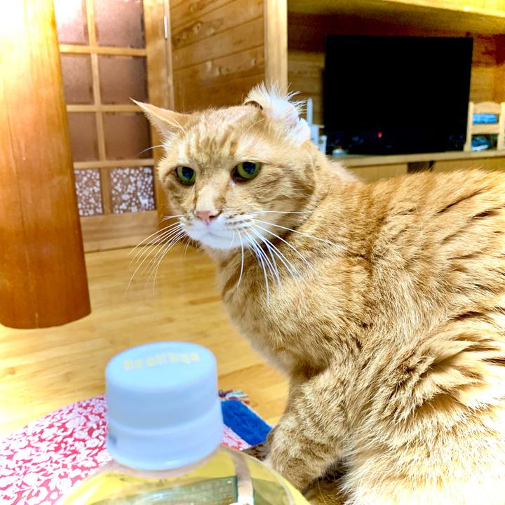 7e5738e7 b479 4f43 a62c 12bb092b3204 1623323999627