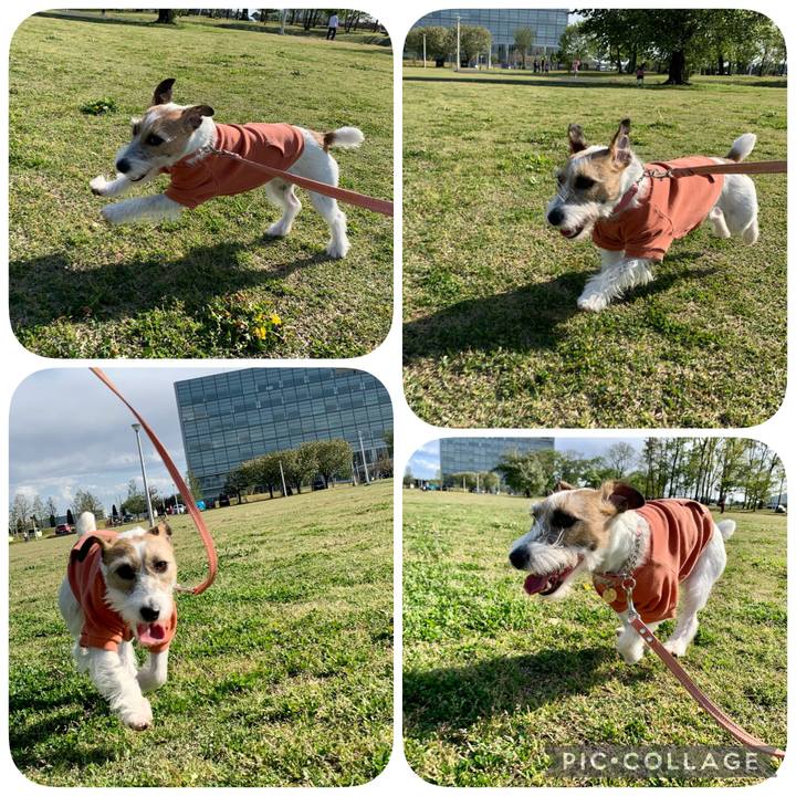 7e57438c 0ce1 4813 88e1 b5a702be14a9 1618754634778