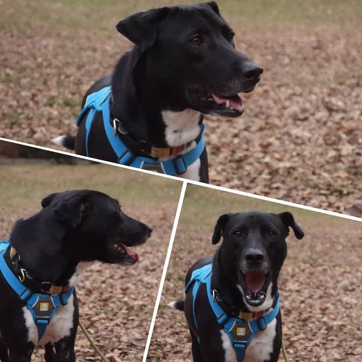 7e5747b7 b22c 4f06 92f0 9528cd029fe2 1609115418459