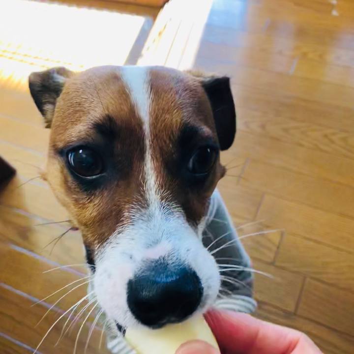 7e5751f1 ee21 4895 b388 4e76f4e64981 1570145287982