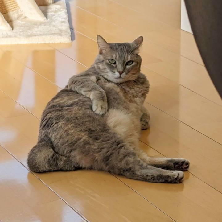 7e575cdc ce25 46be b508 990015bb43ba 1701837438019