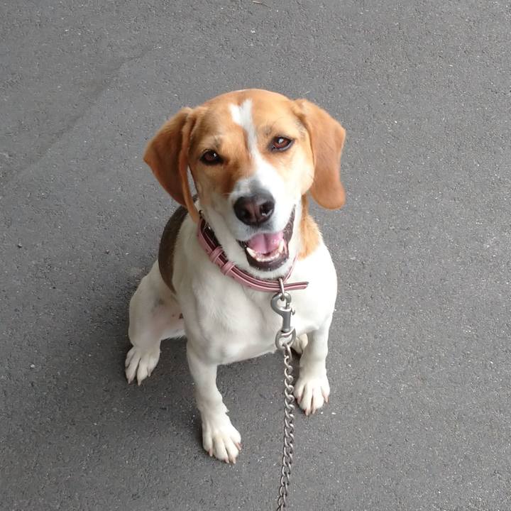 7e576484 ac0a 43a5 a6ad f2f536754cb8 1591152938536