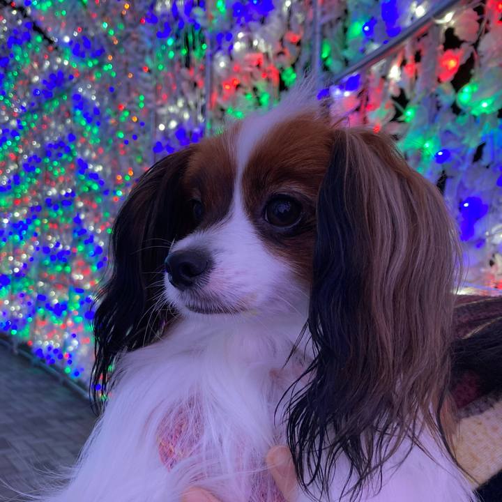 7e57702b e008 4587 b020 e9375c6500c8 1636191046696