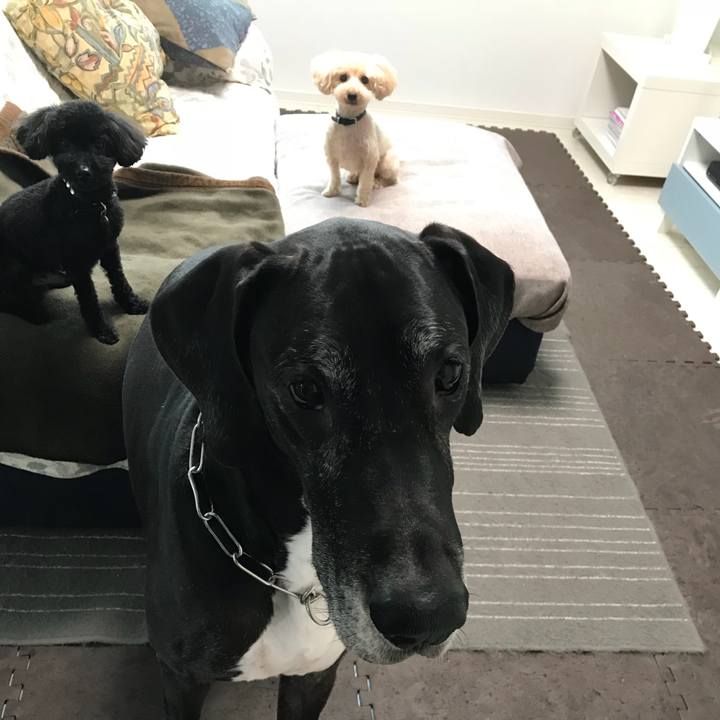 7e578dc2 9adc 45ff b1e3 2b7e4a5527de 1510612836228