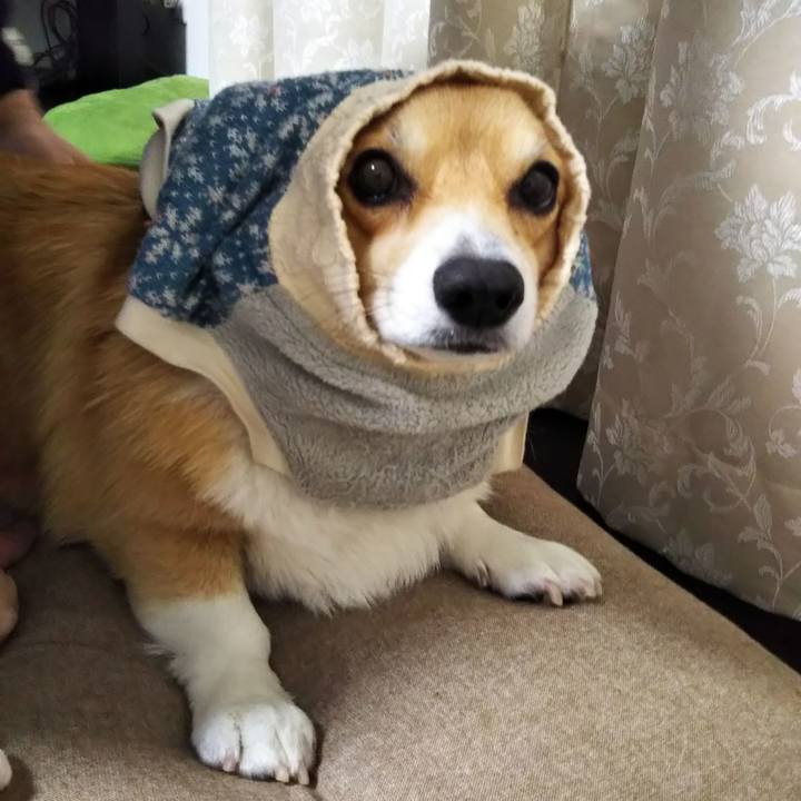 7e57a403 bcb9 4616 9d8c 6d436c7fe10a 1576417437732