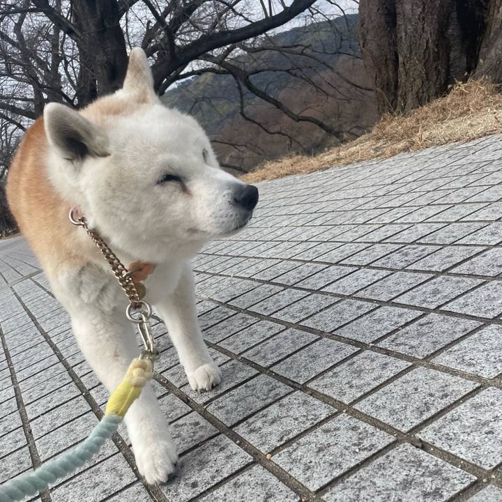 7e57aee6 40c8 42d3 8457 ca2cffa0c7ea 1738635226831