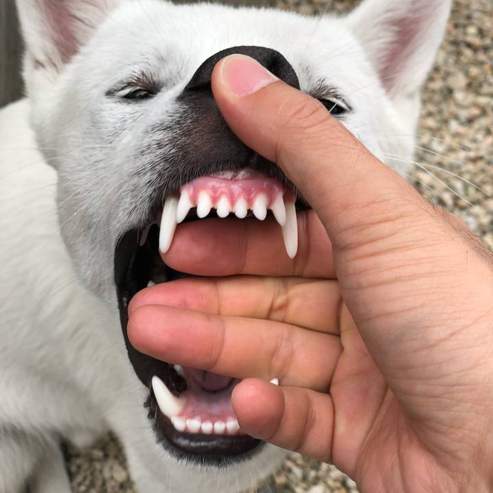 7e57c786 7a0c 41a9 b7df ea0538389a37 1528613958080