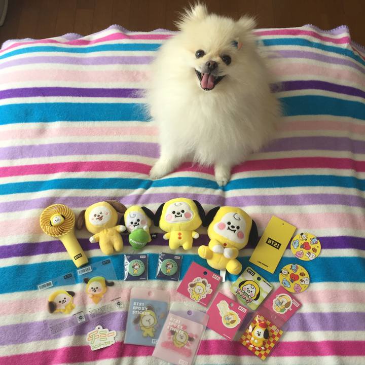 7e57cb74 2aac 4cb0 bd22 63f4e659d14a 1600054416524