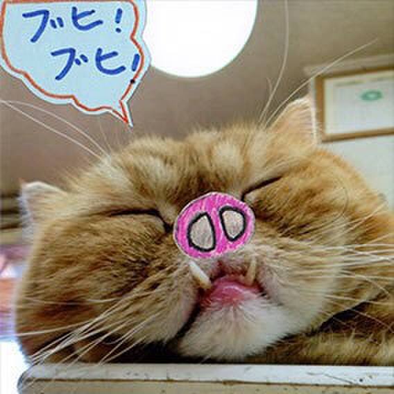 7e57d008 3219 4b34 aaac c4fb2a5f9c84 1547604027523