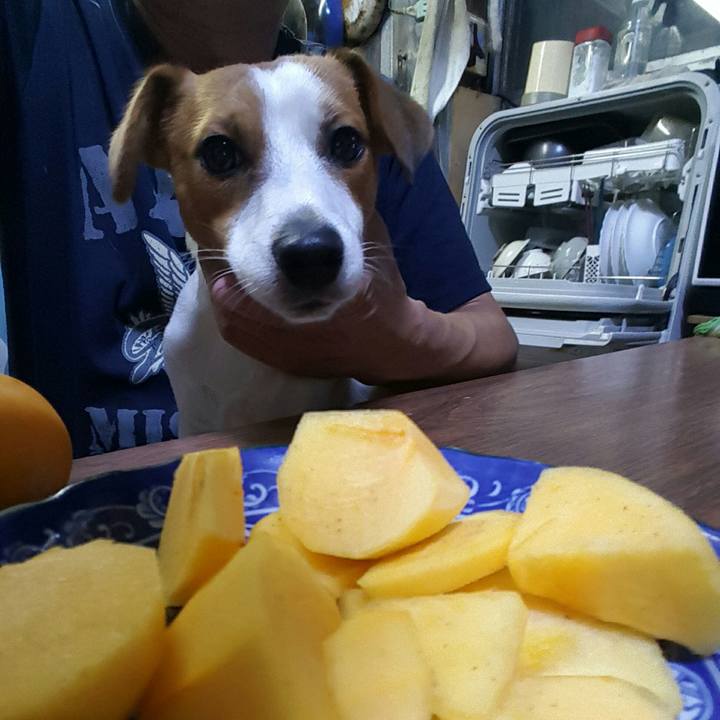 7e57df6c 8bba 4941 a465 c9045e143f2a 1570786787989