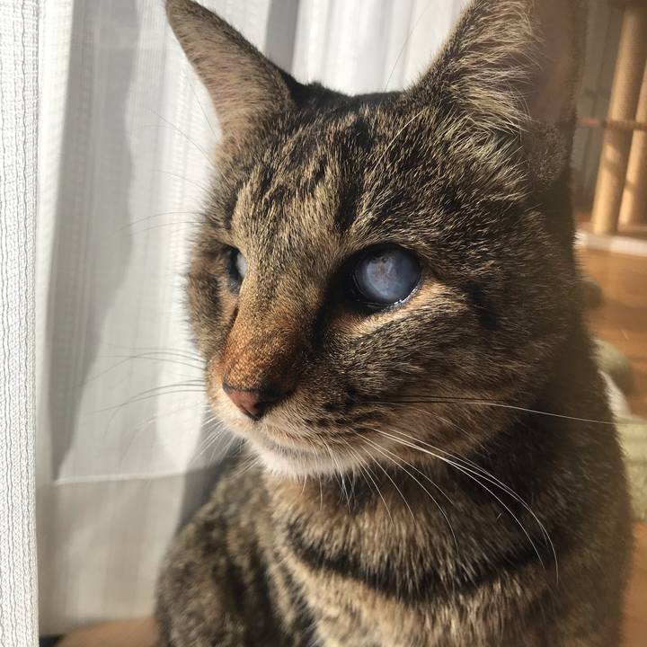 7e57e434 ffb7 4d84 9642 c95de8e78c30 1609155747951