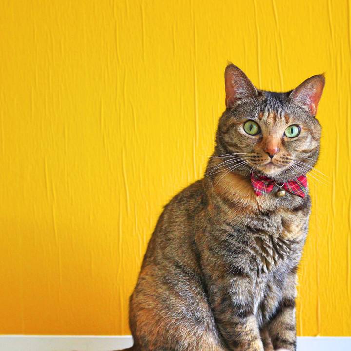 7e57ea0d 7e4b 4b6d 86f4 067580f13744 1556791263493