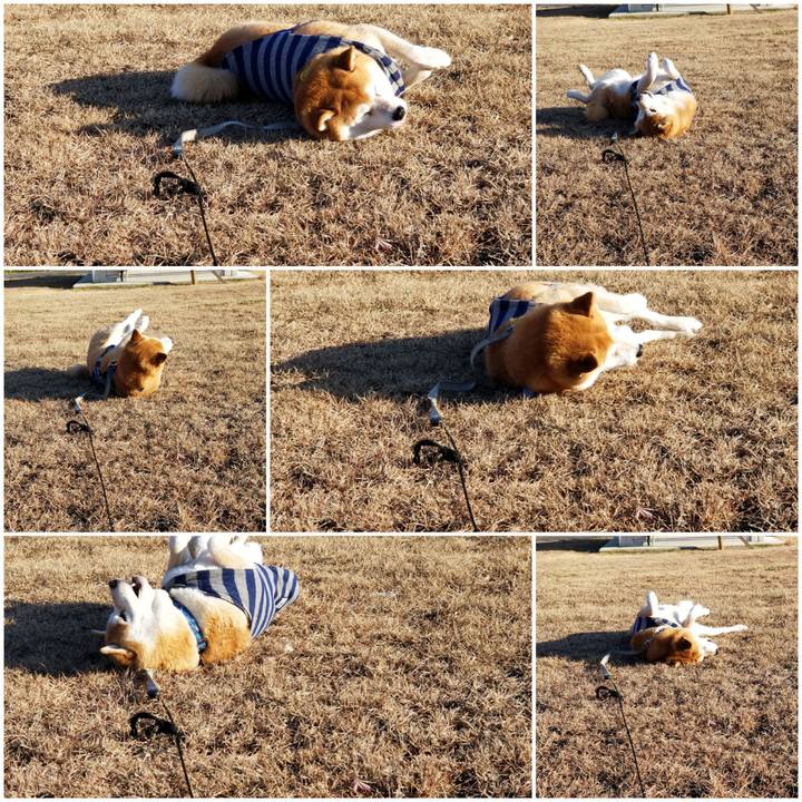 7e57f713 eeca 4844 8a1c 8050956b4a07 1577079733827