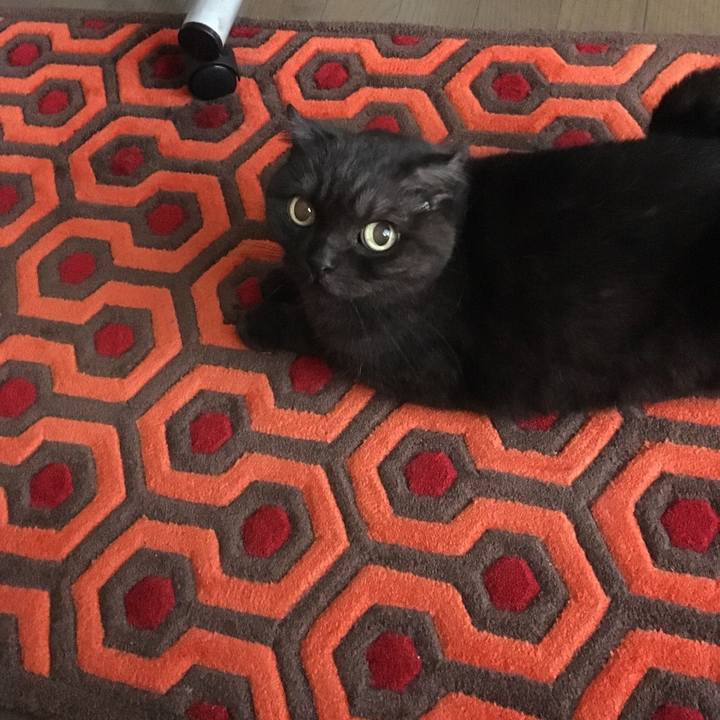 7e5817e5 324b 44e5 b616 043e15b67c32 1538533746743