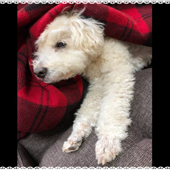 7e586e3b efd2 4ad7 bd38 b111706a469f 1523612785787