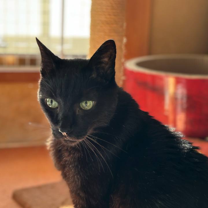 7e588198 12b7 40c0 bbd4 e6ee7713fb49 1690416219863