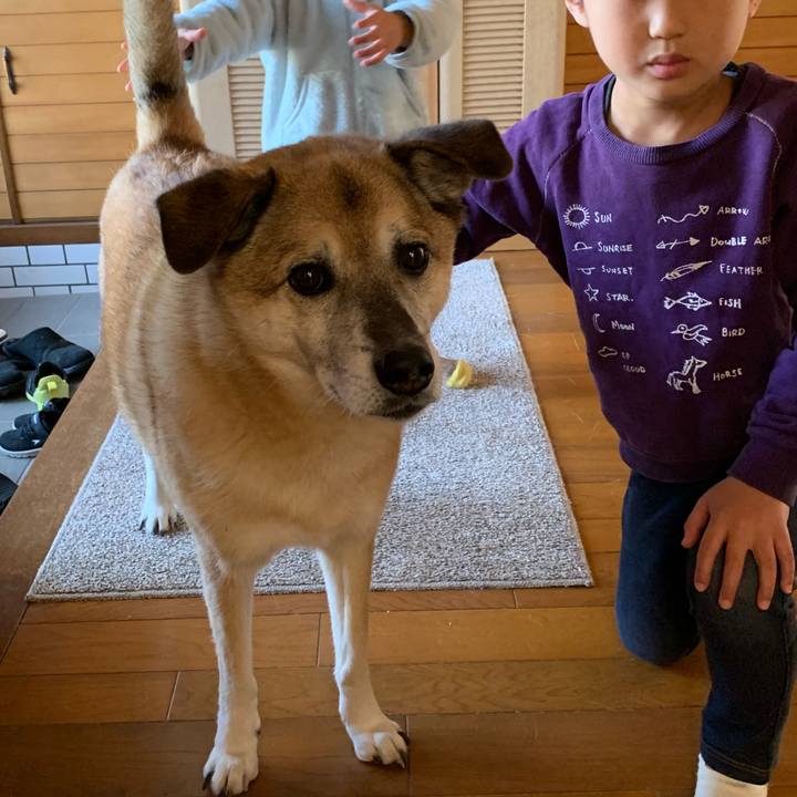 7e588439 152b 47e8 a6f2 cc26bd199ab7 1637466748831