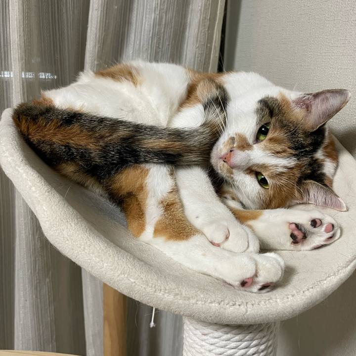 7e592561 afe4 475b a691 5bc26bbea05b 1637847651332