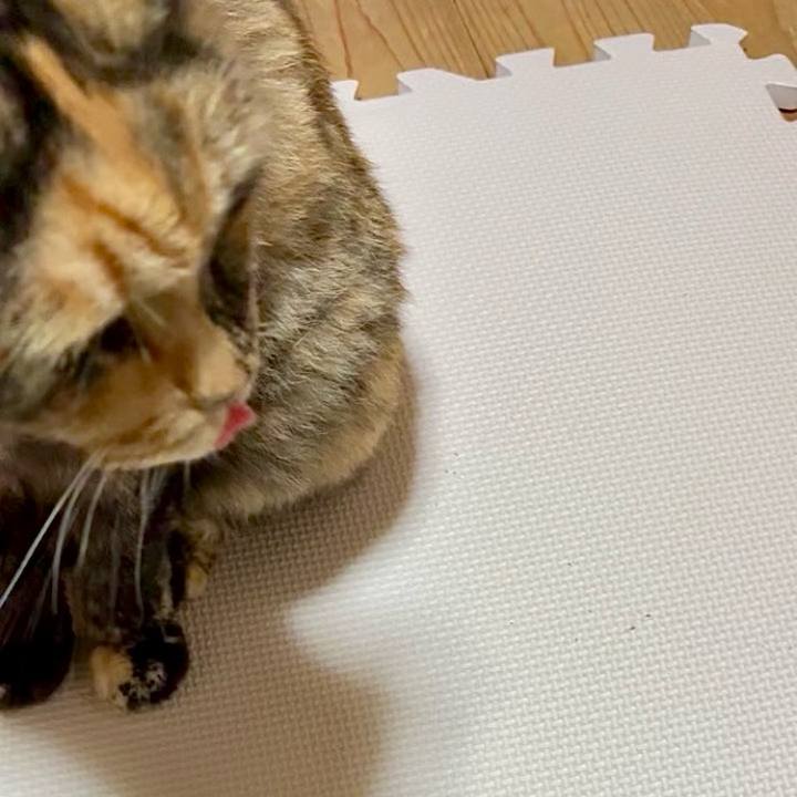 7e593a3b 914a 48d5 b24e 7f5fc1c8ee25 1751231257723