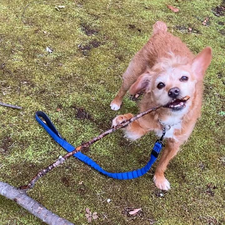 7e594ca8 2d19 4ee9 b3f8 0da3d0d819d6 1709715947706