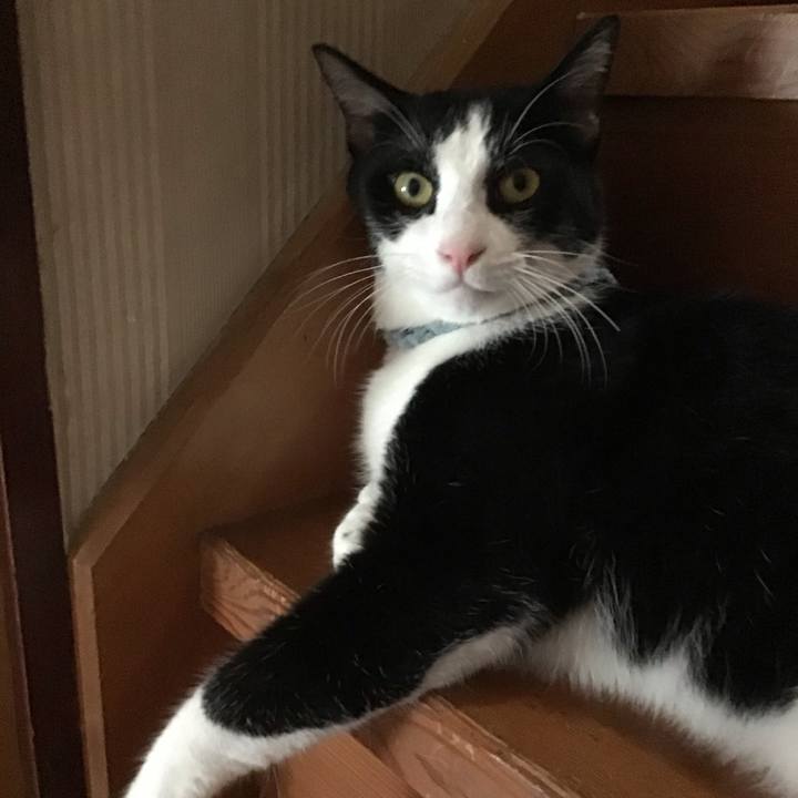 7e5997b2 c6a5 41e4 a872 def885bbba75 1661852777738