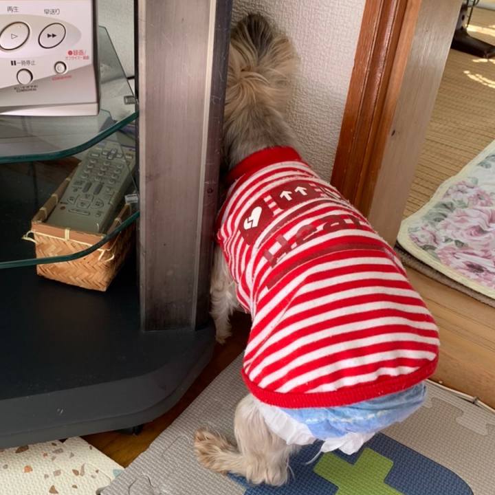 7e599b76 5604 4f2b 9f65 97fe33544c51 1679217641430