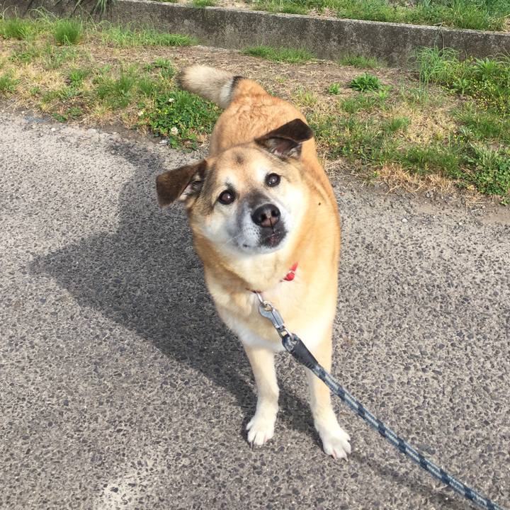 7e59d0c7 6daf 40b7 b44f 0f61596cadc0 1588576989898