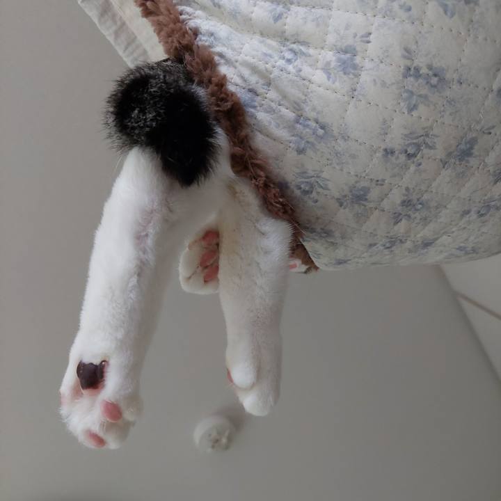 7e5a3bae 577d 4a1f a944 fbc22ea177d8 1759012587704