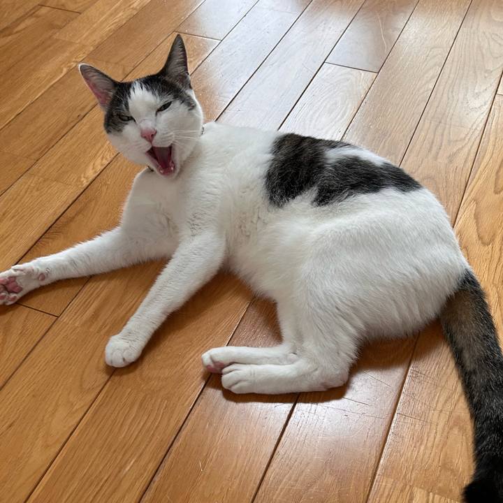 7e5a66e0 a441 4f20 bf21 ba386f0f530f 1747295621044