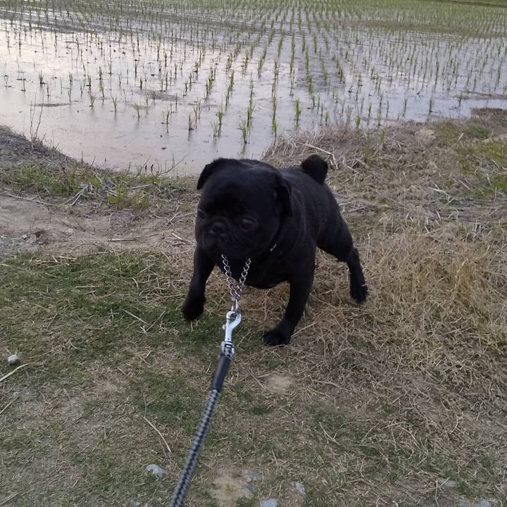 7e5a9038 44a8 44b6 95ec 432bda8ecc80 1558094252600