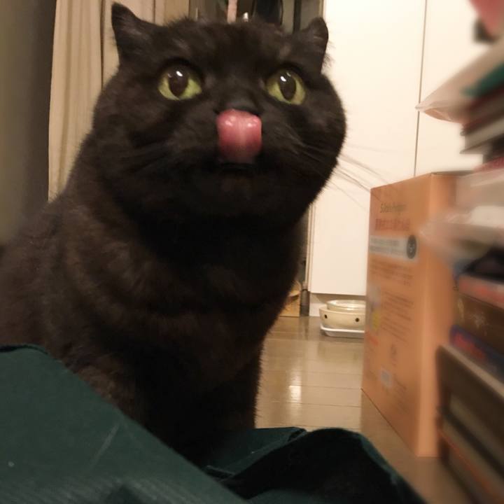 7e5ab01d 9063 430c bb5f 662effd5cc4f 1522430246666