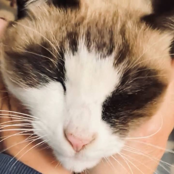 7e5ab958 9bfe 4329 b7e2 b70e265adb74 1735700021325