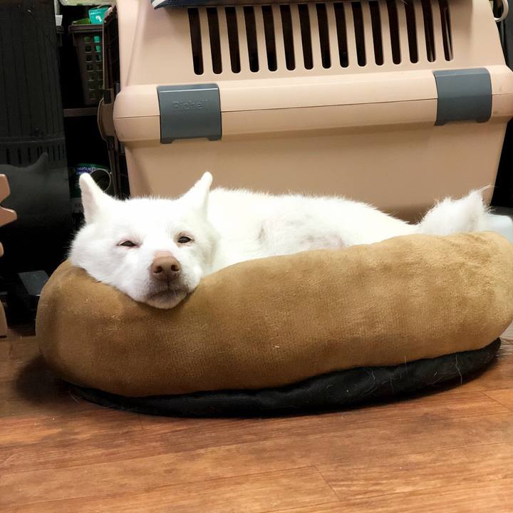 7e5ad039 a559 4140 9997 abf22b9e8c3b 1584611592202