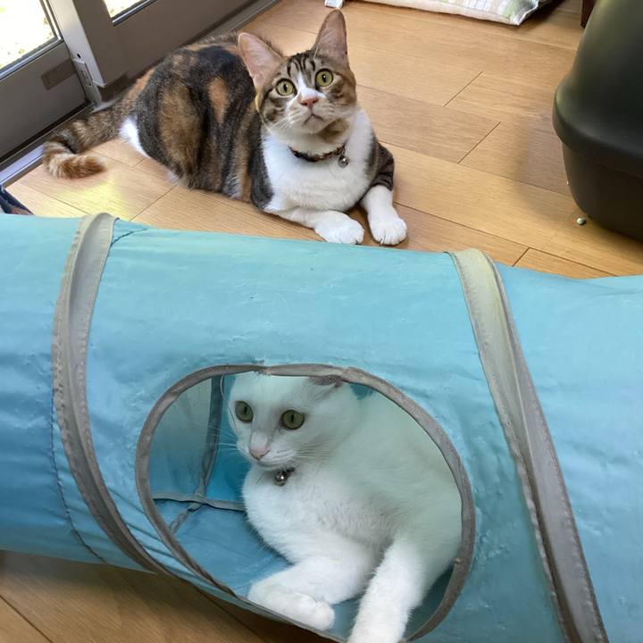 7e5ae081 c483 49c4 8477 190a31426dbe 1692859203905