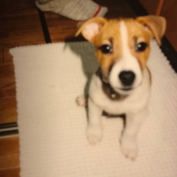 7e5af8e2 84bc 4af0 b275 d83d536700a9 1551279840935