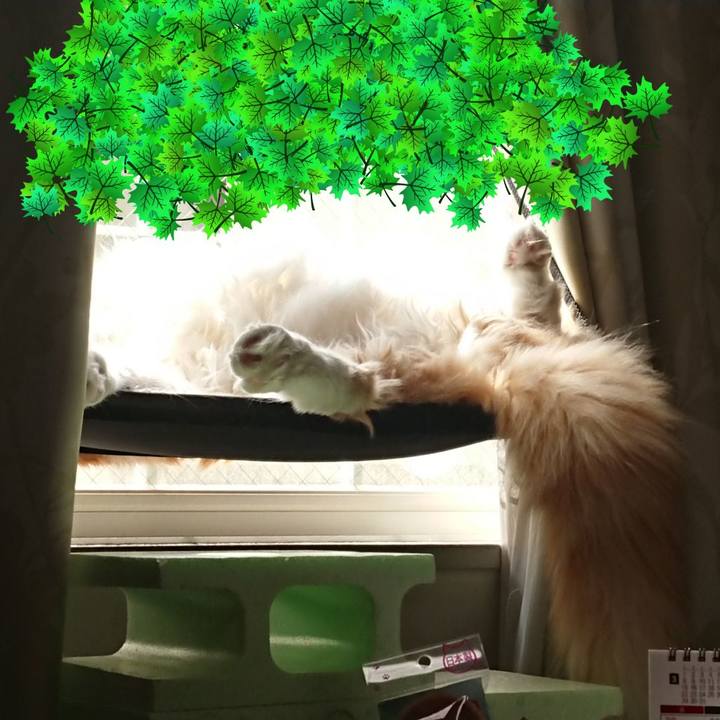 7e5afc02 cc54 4971 9f6f 9addb2c5b91f 1587005318394