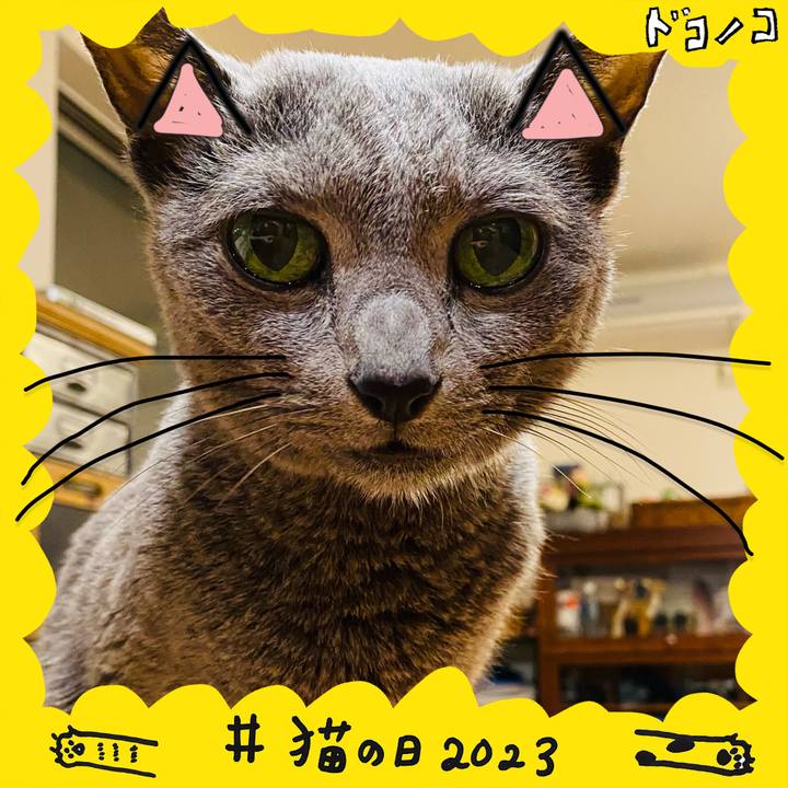 7e5b0331 4e41 4e12 ad01 5e225a027cf0 1677036278356