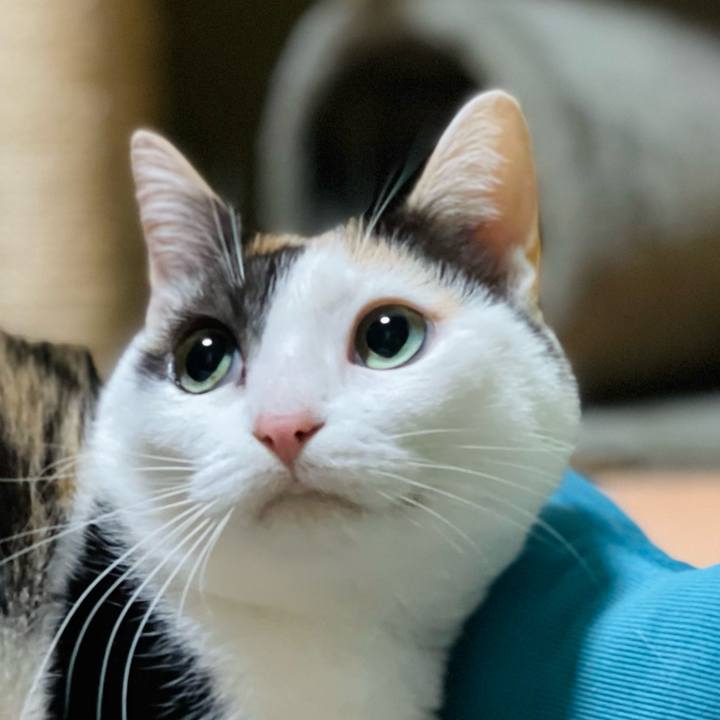 7e5b0fcc c67f 4966 b1a2 5864fc72ef0e 1640999448286