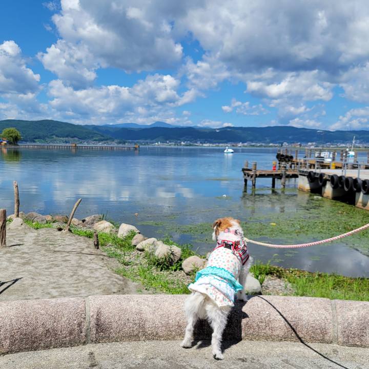 7e5b1224 75bc 488d b60a 927470f42118 1754618515228