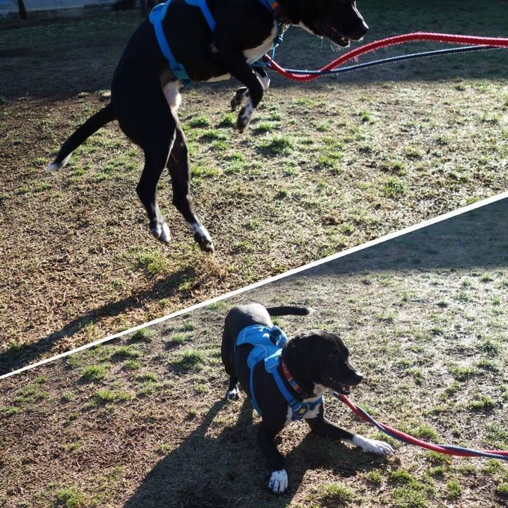 7e5b2149 07e0 4103 92ed af5d61e7b565 1615680194175