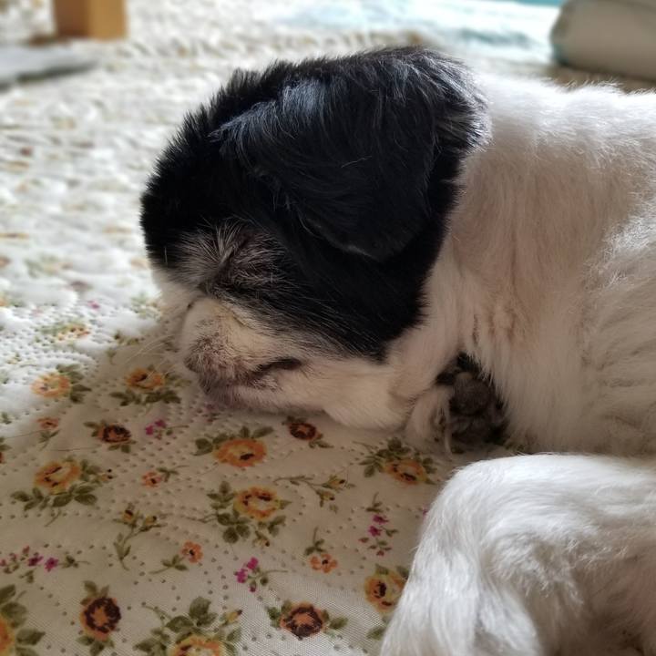 7e5b338a 5866 49e5 8a27 12e4319cbccd 1593317764357