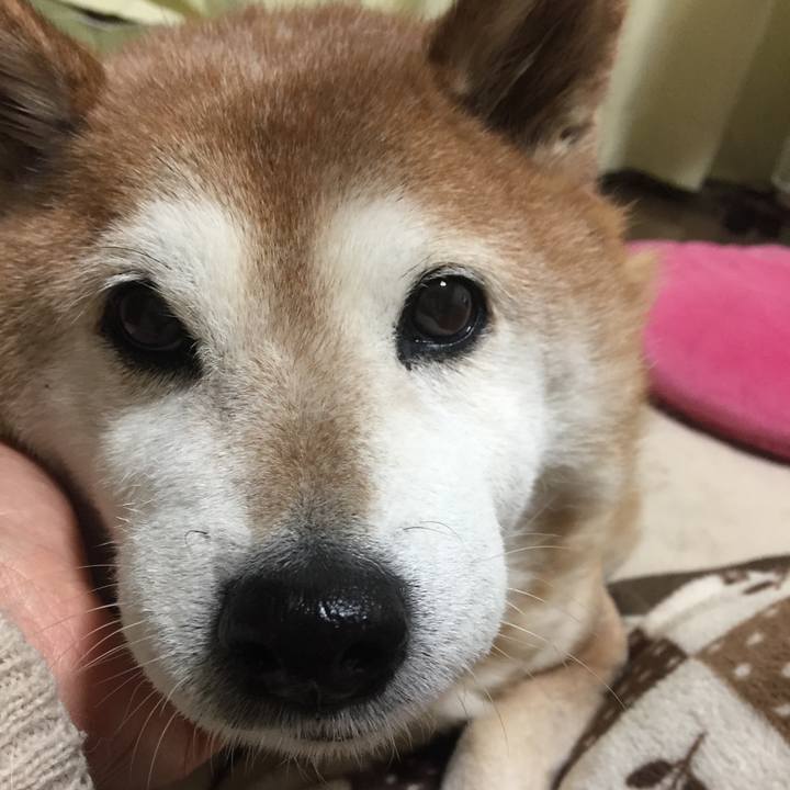 7e5b4739 c8e3 47f3 a890 5a9d6d84464f 1550915155746