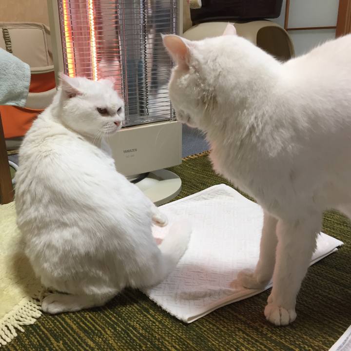 7e5bc76e 8aec 4ab9 8ec6 40faf66214d9 1508656343481