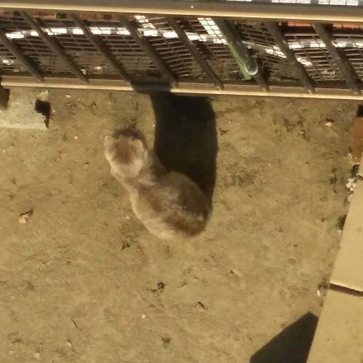 7e5bc848 f136 45c4 8dc8 73dc0a2b4c72 1520985760905