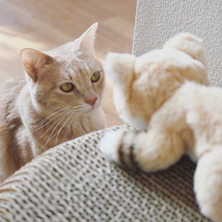 7e5bec72 d38b 48df 8c69 02fae0b917d1 1643026825297