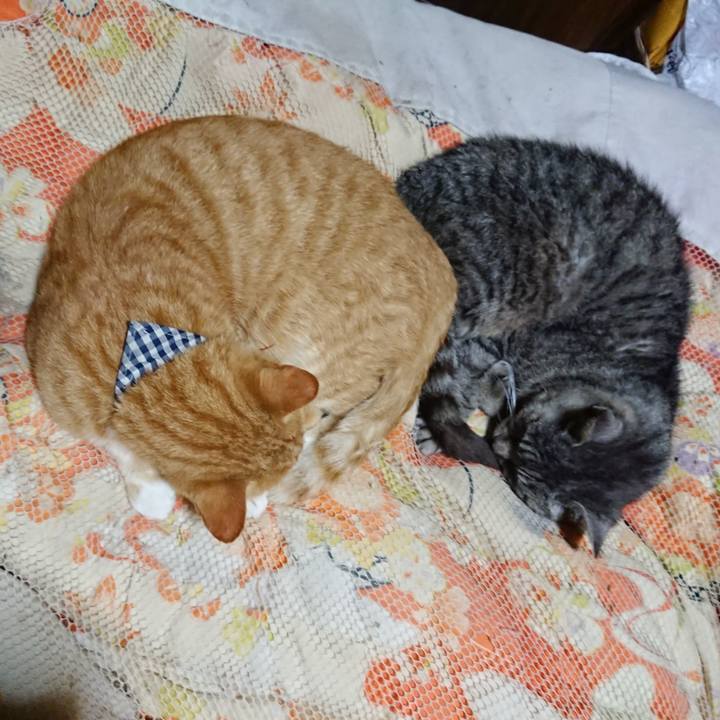 7e5c146d 3acf 40f0 ade6 62ddb2ba7510 1571489224389