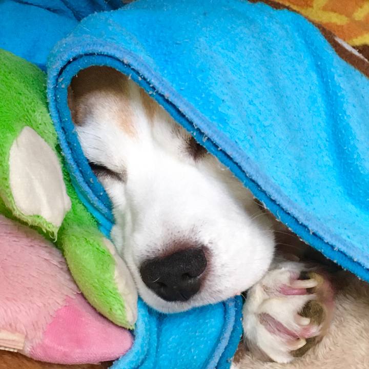 7e5c5fe2 33ca 4bc9 b667 98f431250c56 1573098253327