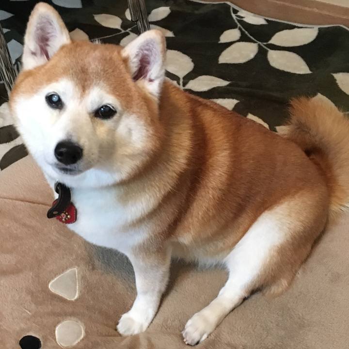 7e5c6fe7 5398 48cc 9e85 ce889ee4ee47 1552823596781