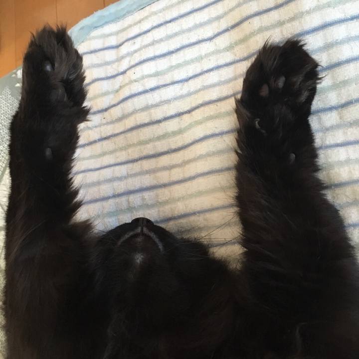 7e5c7afa 57c1 4d0c 8226 e0097be2dcad 1543473023719